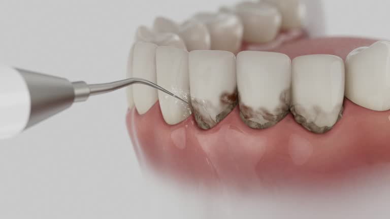 Reliable Dental contractor in Romancoke, MD by Dentist Open Now